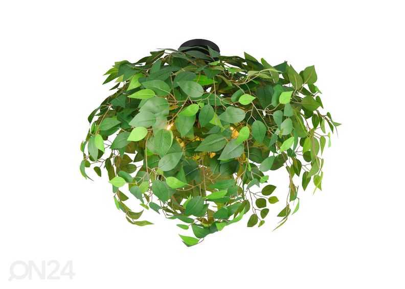 Laevalgusti Leavy suurendatud