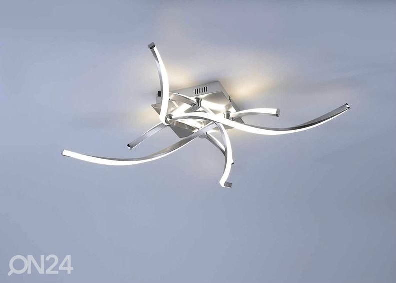 Laevalgusti Polina suurendatud