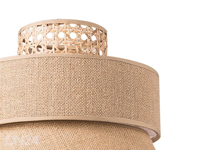 Lambivari Cane suurendatud