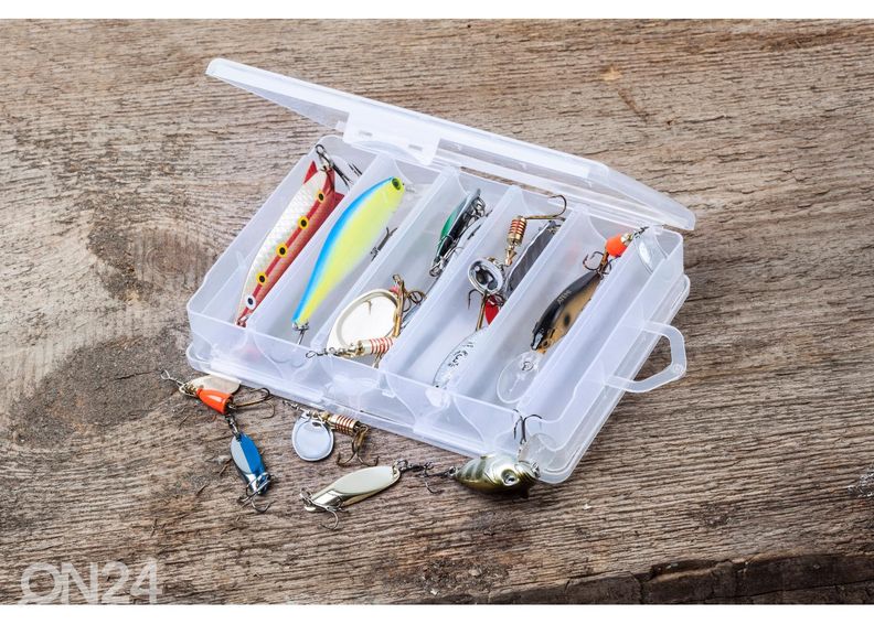 Landikarp plastilys suurendatud