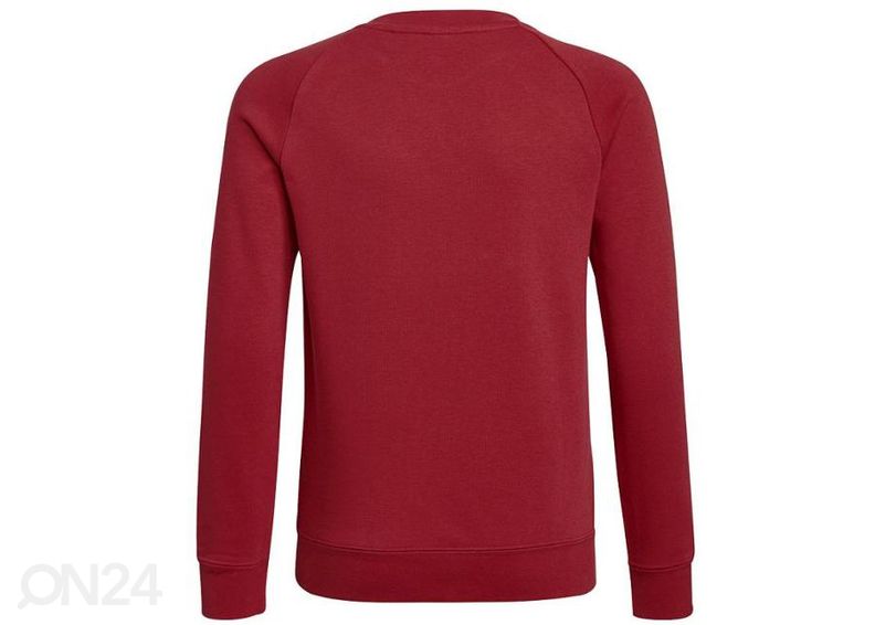 Laste dressipluus Adidas Arsenal FC Crew Sweat suurendatud