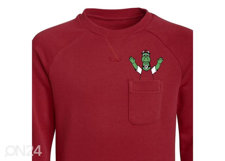 Laste dressipluus Adidas Arsenal FC Crew Sweat suurendatud