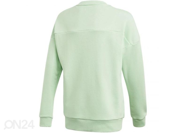 Laste dressipluus Adidas Jg Mh Crew Jr GE0965 suurendatud