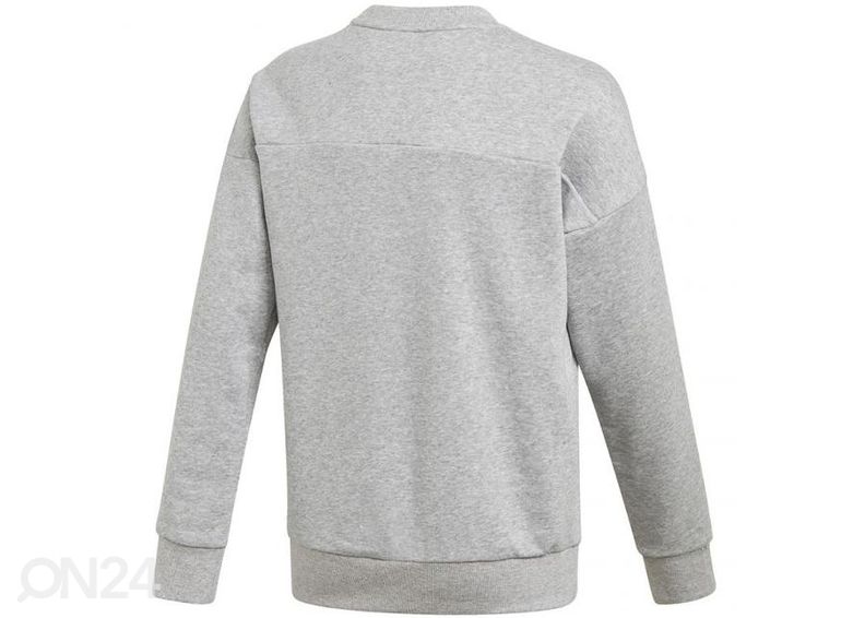 Laste dressipluus Adidas Jg Mh Crew Junior GK3237 suurendatud