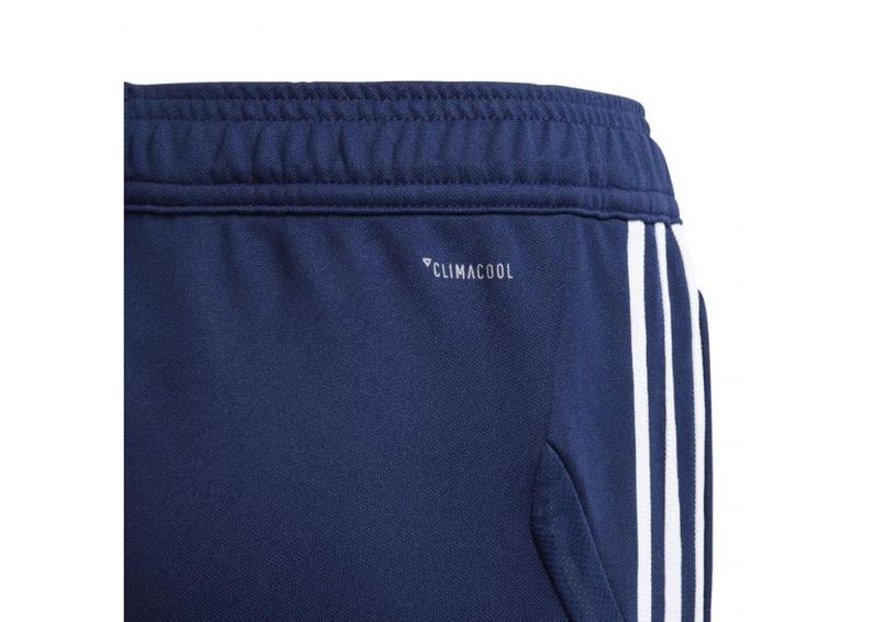 Laste dressipüksid adidas Tiro 19 Training Junior DT5177 suurendatud