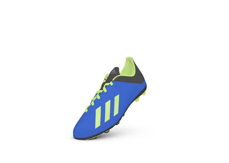 Laste jalgpallijalatsid muru adidas X 18.4 FxG Jr DB2419 suurendatud