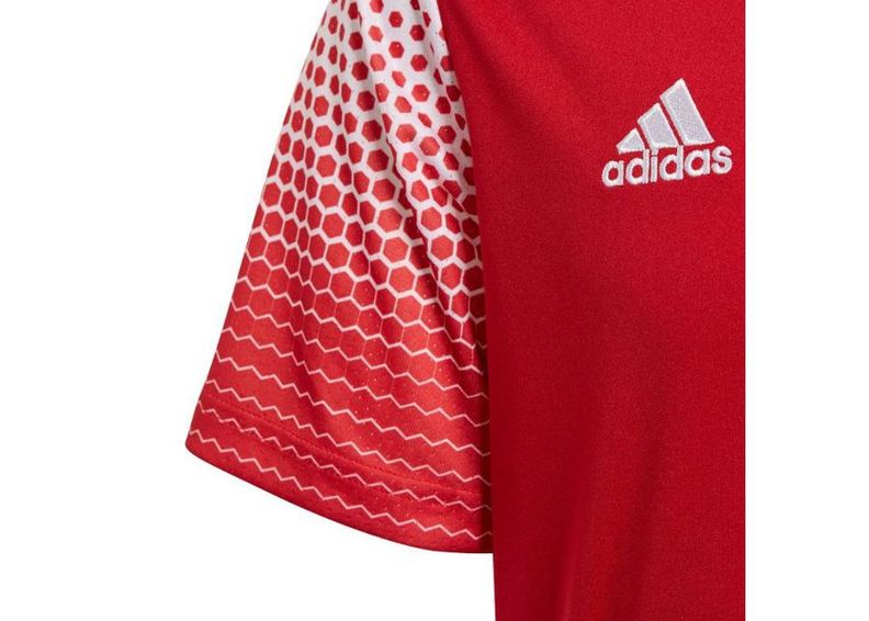 Laste jalgpallisärk adidas Regista 20 Jr FI4565 suurendatud