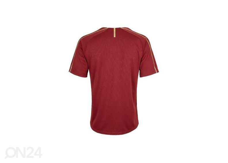 Laste jalgpallisärk Puma Arsenal FC Training Tee Junior 753267 03 suurendatud