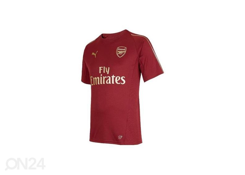 Laste jalgpallisärk Puma Arsenal FC Training Tee Junior 753267 03 suurendatud