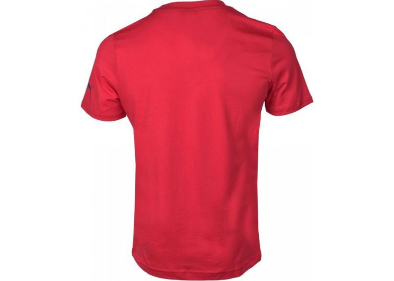 Laste jalgpallisärk Puma Arsenal Football Club Fan Tee Junior 74929701 suurendatud