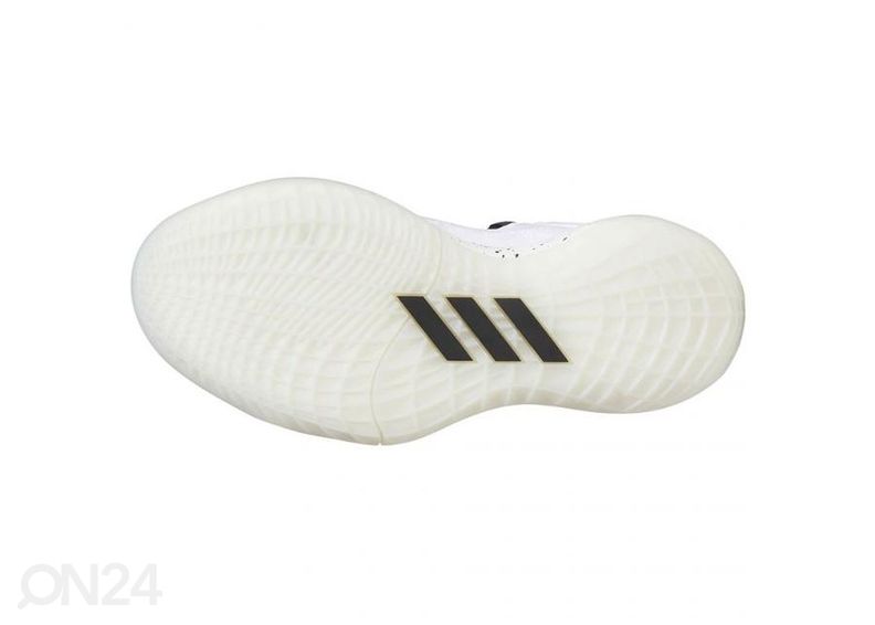 Laste korvpallijalatsid Adidas Harden Stepback 2 suurendatud