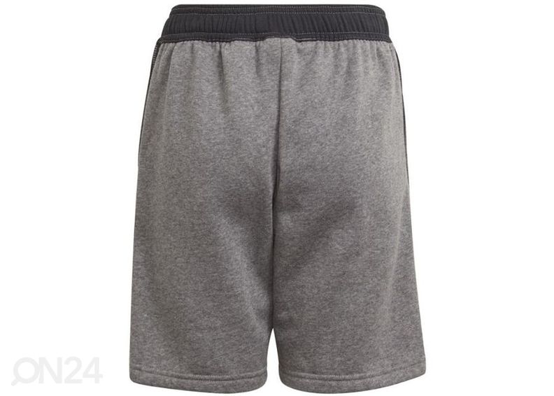 Laste lühikesed jalgpallipüksid Adidas Tiro 21 Sweat Short suurendatud