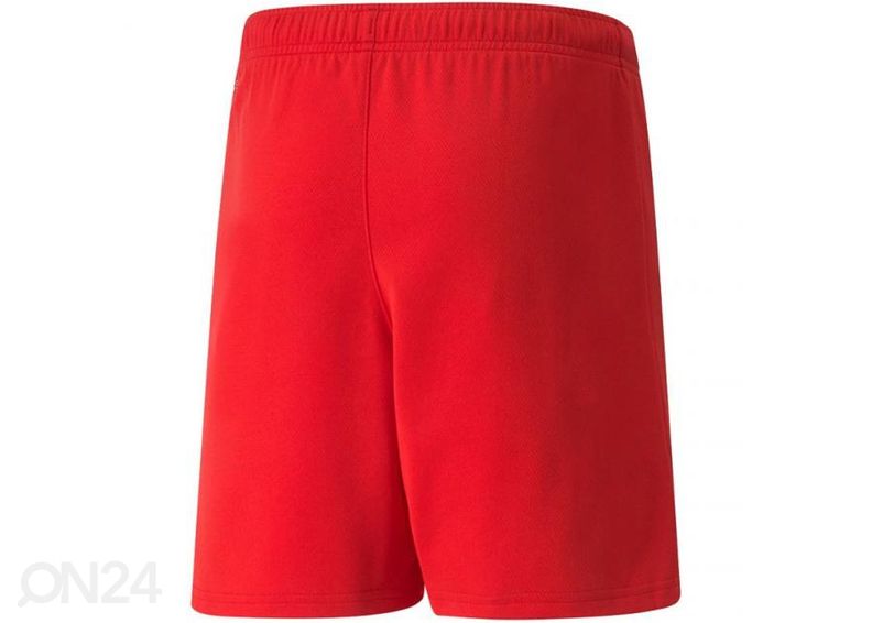 Laste lühikesed jalgpallipüksid Puma teamRISE Short suurendatud