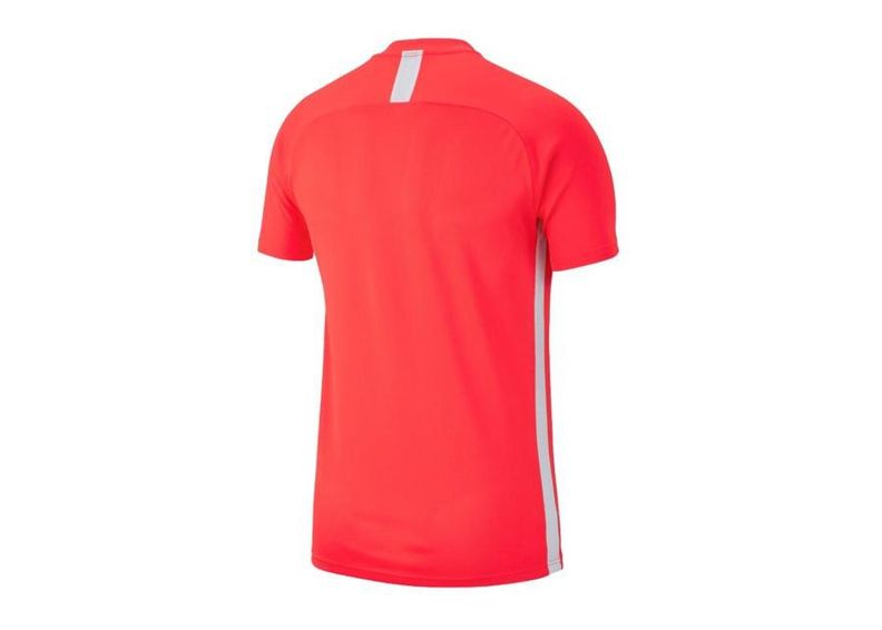 Laste T-särk treeninguks Nike Academy 19 Junior AJ9261-671 suurendatud