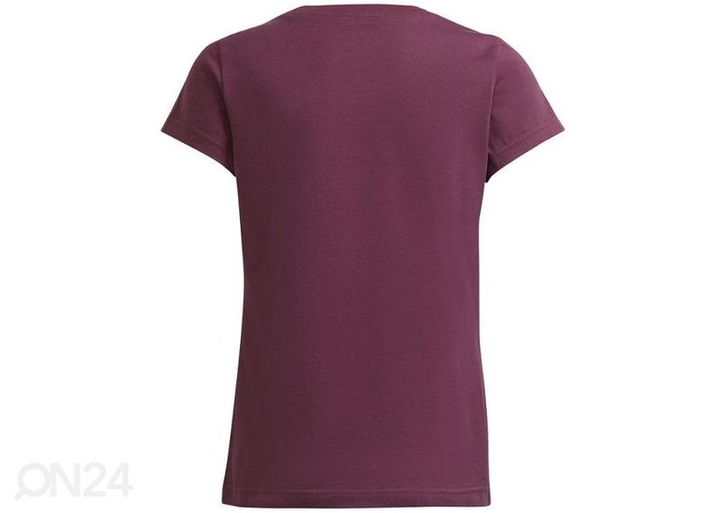 Laste vabaajasärk Adidas Essentials Tee Jr GS0258 suurendatud