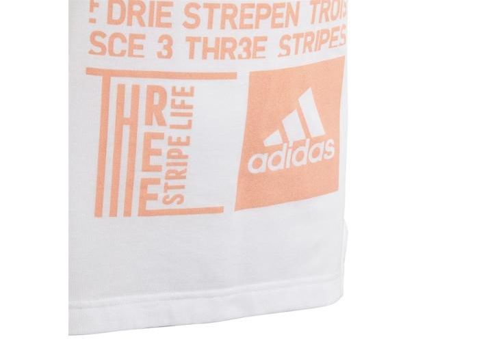 Laste vabaajasärk Adidas YG TR Graph Tee Jr suurendatud