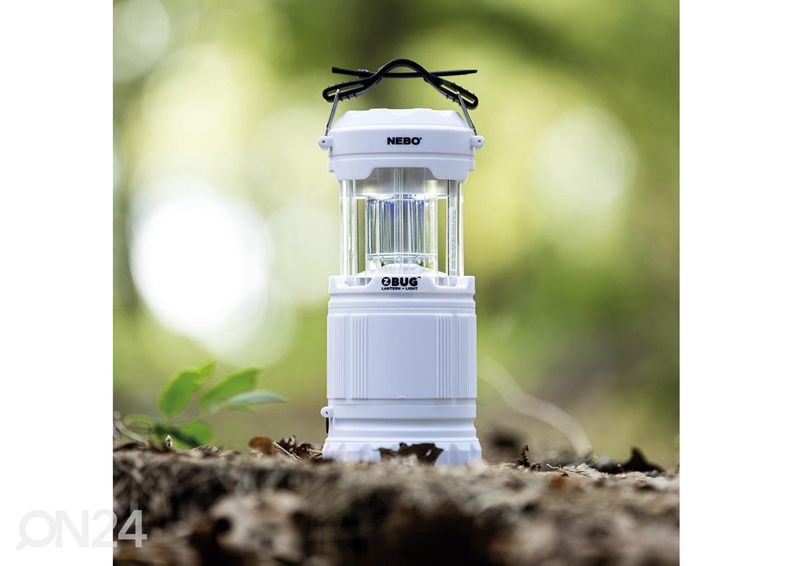 Latern z-bug suurendatud