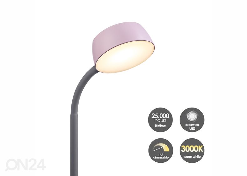 Laualamp College suurendatud