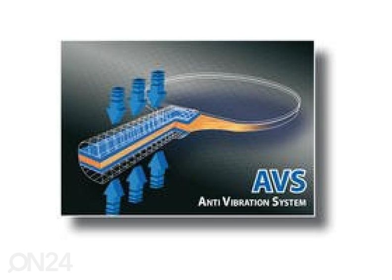 Lauatennise komplekt DONIC Swedish Legends 700 suurendatud