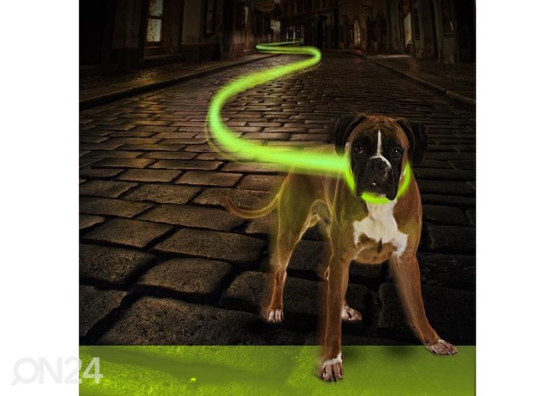 Led helkur kaelarihm 65cm roheline usb liides Duvo+ suurendatud