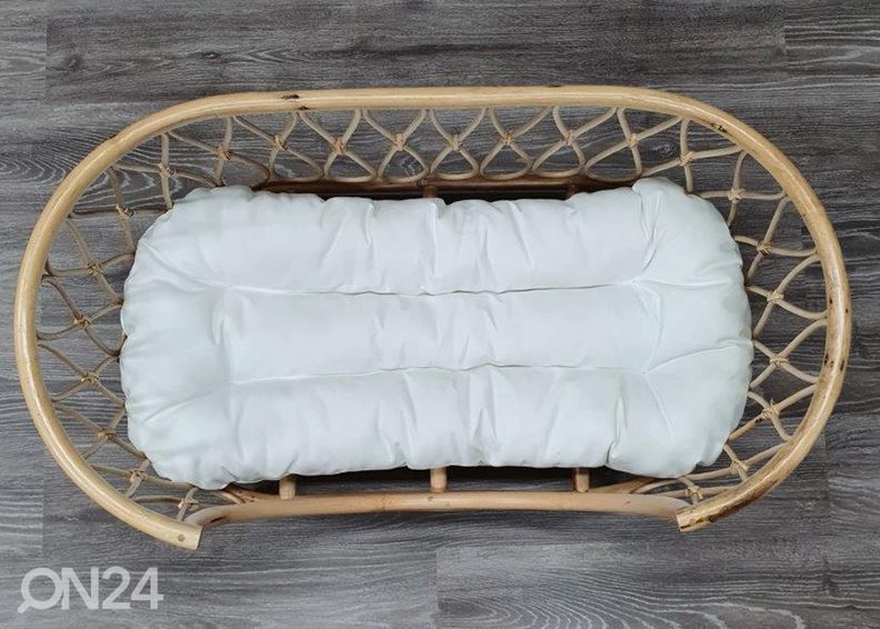 Lemmiklooma pesa suurendatud