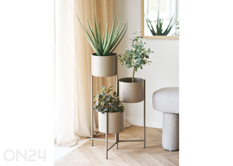 Lillealus suurendatud