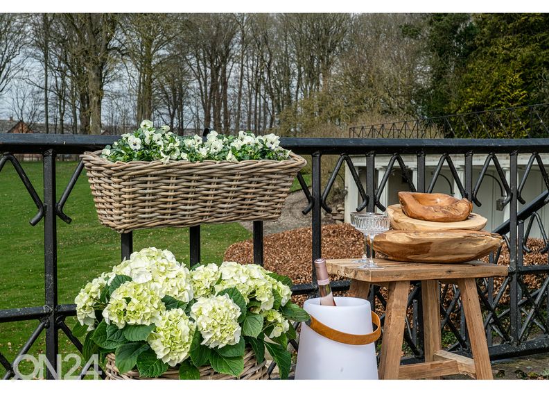 Lillekast Lào Cai suurendatud