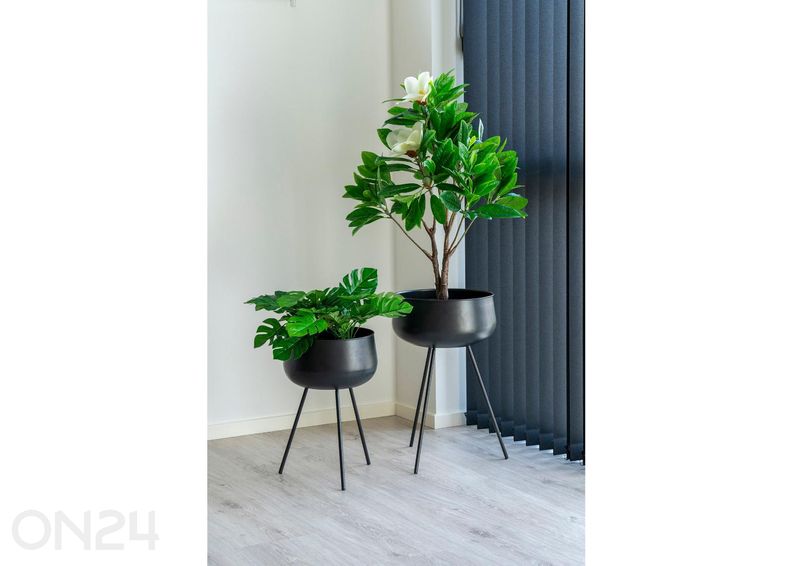 Lillepotid Ardola, 2 tk suurendatud