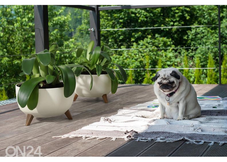 Lillepott jalgadel Roma Jumper Legs Ø 29 cm suurendatud