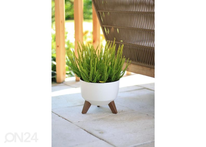 Lillepott jalgadel Roma Legs Ø 29 cm suurendatud