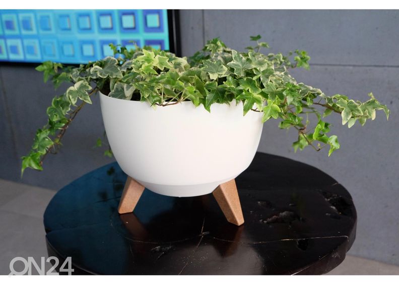 Lillepott jalgadel Roma Legs Ø 29 cm suurendatud