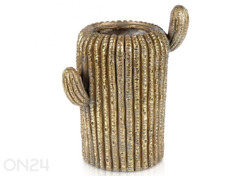 Lillepott kaktus suurendatud