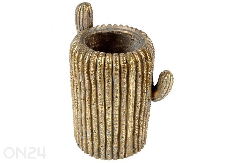 Lillepott kaktus suurendatud