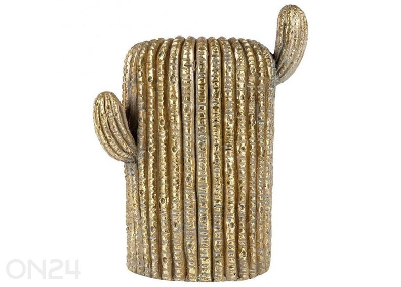 Lillepott kaktus suurendatud