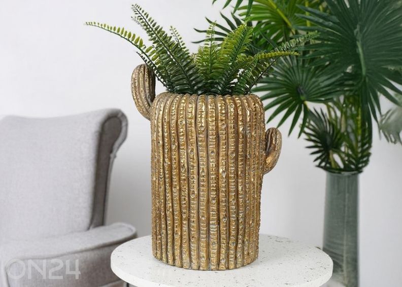 Lillepott kaktus suurendatud