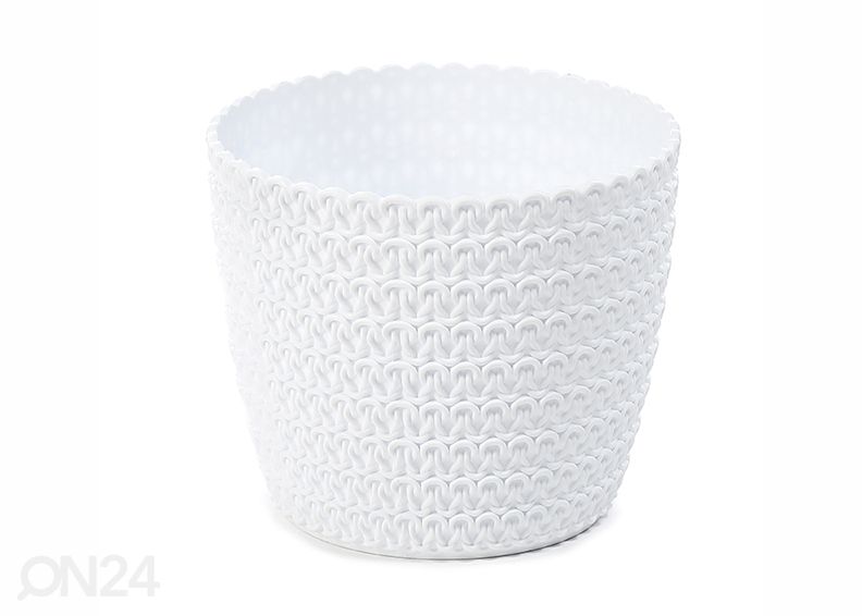 Lillepott Magnolia Jersey suurendatud