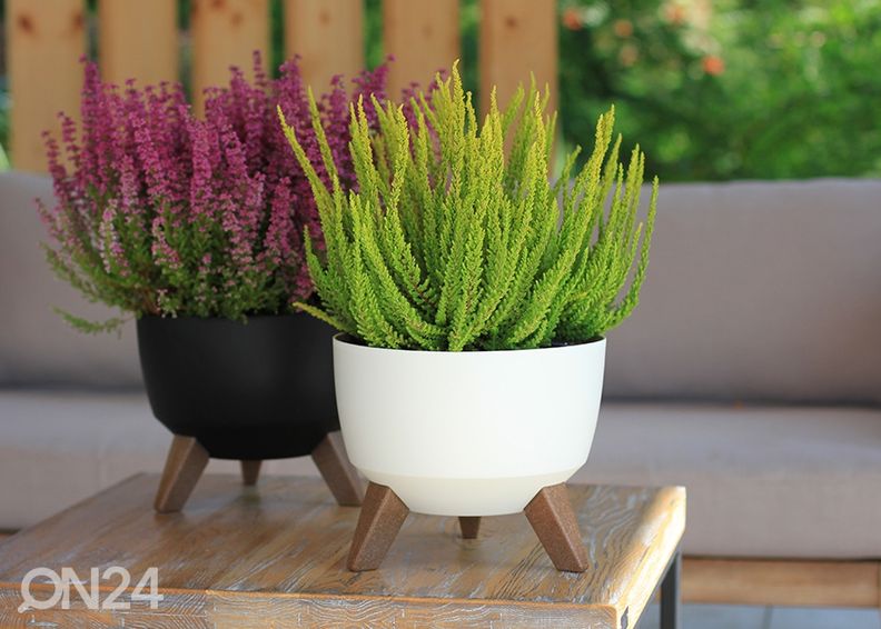 Lillepott Roma jalgadel Ø 24 cm suurendatud