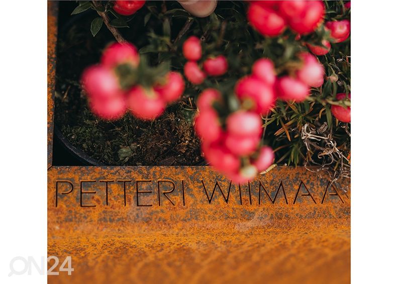 Lillepottide komplekt Cor-Ten terasest Fat Ballerina 3 tk suurendatud