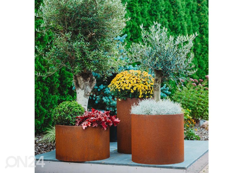 Lillepottide komplekt Cor-Ten terasest Sisters 3 tk suurendatud