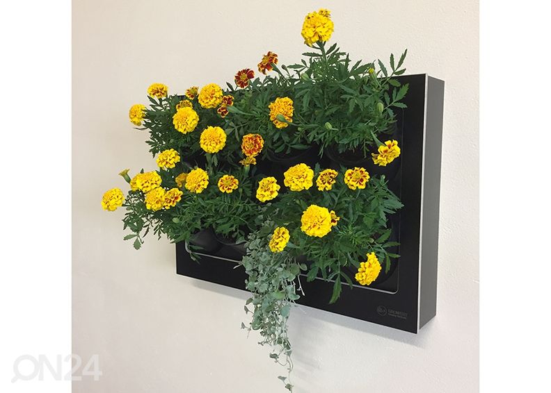 Lilleriiul Dark 8B2 suurendatud