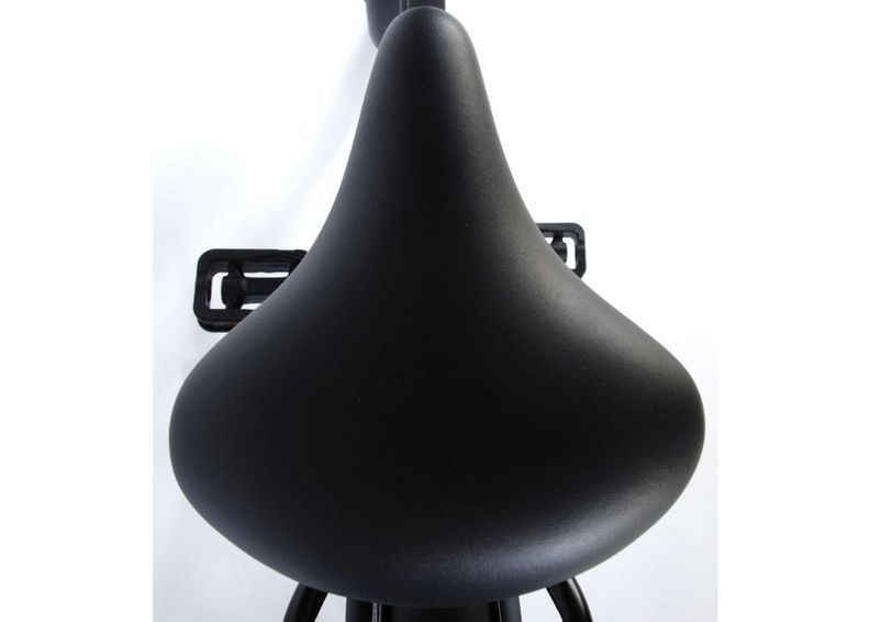 Linnajalgratas naistele SALUTONI Badges 28 tolli 50 cm Shimano Nexus 3 käiku suurendatud