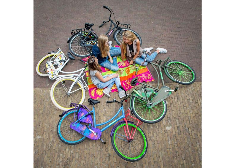 Linnajalgratas naistele SALUTONI Badges 28 tolli 56 cm Shimano Nexus 3 käiku suurendatud