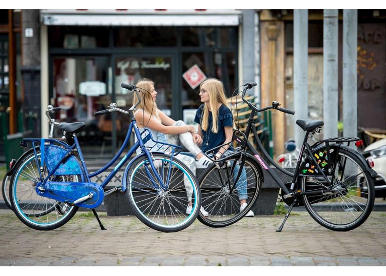 Linnajalgratas naistele SALUTONI Badges 28 tolli 56 cm Shimano Nexus 3 käiku suurendatud