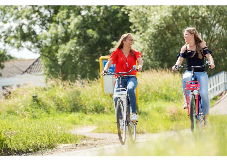 Linnaratas naistele SALUTONI Dutch oma bicycle Glamour 28 tolli 56 cm suurendatud