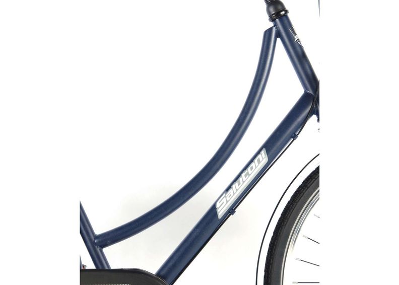 Linnaratas naistele SALUTONI Dutch oma bicycle Glamour 28 tolli 56 cm Shimano Nexus 3 käiku suurendatud