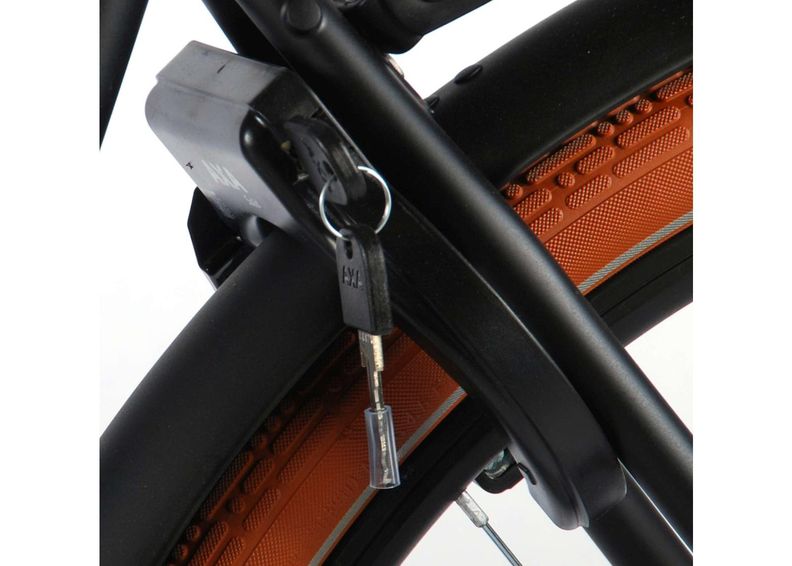 Linnaratas naistele SALUTONI Excellent Shimano Nexus 3 28 tolli 50 cm suurendatud