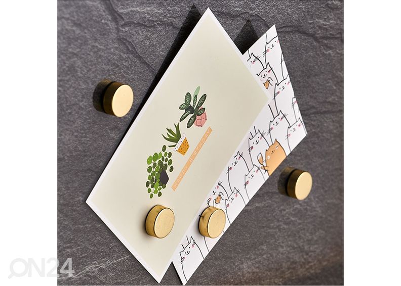 Magnetid 4 tk suurendatud