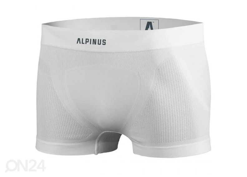 Meeste bokserid Alpinus Shatsa suurendatud