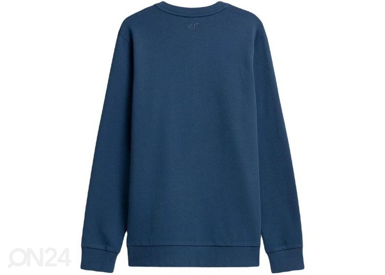 Meeste dressipluus 4F suurendatud