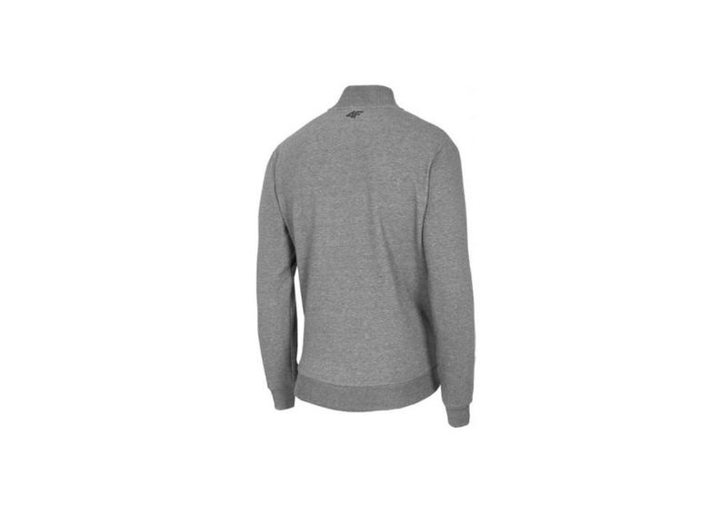 Meeste dressipluus 4f M NOSH4-BLM003 24M suurendatud